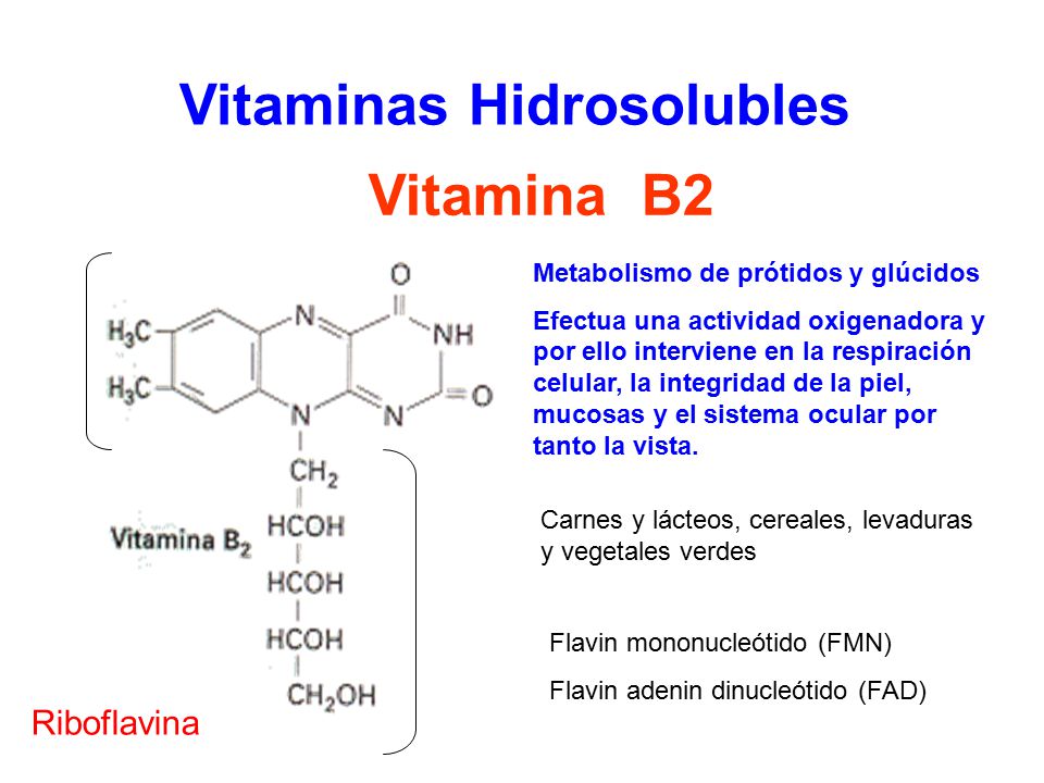 Vitaminas que intervienen en el metabolismo
